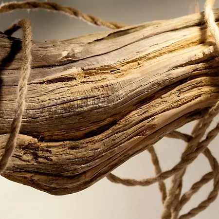 招待所 Eva Luxury Myrtus