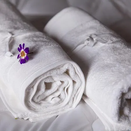 Eva Luxury Myrtus 招待所 *